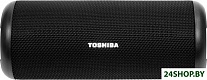 Картинка Беспроводная колонка Toshiba TY-WSP201