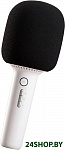 Картинка Bluetooth-микрофон YHEMI Karaoke Microphone 2