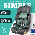 Simple ZY10 (зеленый/серый)