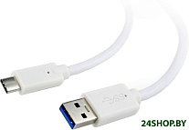 CCP-USB3-AMCM-1M-W