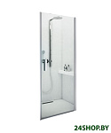 Картинка Душевая дверь Roltechnik Tower Line TCN1/100 (серебристый/intimglass)