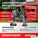 Набор электроинструмента Profipower ProfiSet-2G20 E0217 (цепная пила, секатор, 2 АКБ)