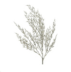 Картинка Ветка новогодняя GreenTerra Луговые травы 220471 (серебристый)