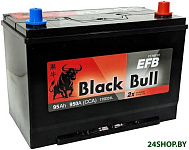 Asia EFB JR (95 А·ч)