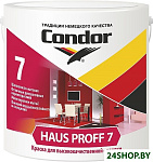 Haus Proff 7 База A (4.6 л)