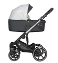 Универсальная коляска Expander Exeo (2 в 1, 05 carbon)