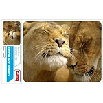 Картинка Коврик для мыши Buro BU-M40030