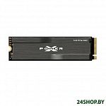 Картинка Накопитель SSD Silicon Power PCI-E x4 256Gb SP256GBP34XD8005 XD80