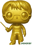 POP! Harry Potter Harry Potter Gold Exc 01 82808