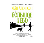 Картинка Большое небо (мягк/обл.)