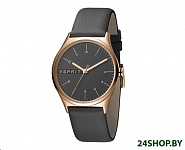 Картинка Наручные часы Esprit ES1L034L0045