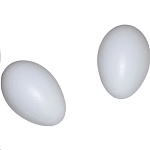 Картинка Подкладное гусиное яйцо