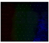 Картинка Световая сетка Neon-night Сеть светодиодная 3х0.5 м [215-049]