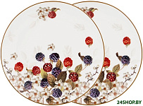 Ежевика 104-562