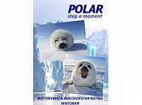 Картинка Фотобумага Polar матовая A4, 190 г/м2, 200 л [A4M887120]