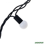 Картинка Гирлянда LuazON Шарики большие Led-100 (10 м, белый) [185538]