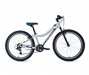 Картинка Велосипед FORWARD Twister 24 1.0 2021 (12, серебристый/синий)