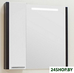 Картинка Акватон Брайтон 100 Шкаф-зеркало венге (1.A176.7.02B.R50.0)