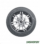 Картинка Автомобильные шины Nexen Winguard Winspike SUV 235/55R18 100T