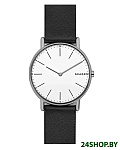 Картинка Наручные часы Skagen SKW6419