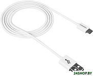 Картинка Кабель CANYON CNE-USBM1W