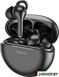 Картинка Наушники Hoco ES60 (черный)