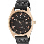 Картинка Наручные часы Daniel Klein DK11743-7