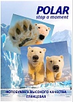 Картинка Фотобумага Polar глянцевая A4, 180 г/м2, 100 л [A4G7905]