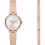 Картинка Наручные часы DKNY NY2811