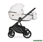 Картинка Детская универсальная коляска RIKO Montana Ecco 2 в 1 (11, белый)