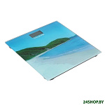 Картинка Напольные весы Willmark WBS-1803D