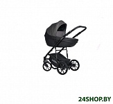 Картинка Детская универсальная коляска RIKO Basic Pacco 3 в 1 (04/темно-серый/черный)