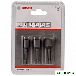 Картинка Набор бит Bosch 2608551078 (3 предмета)