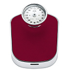 Картинка Напольные весы ADE Felicitas BM 702-3