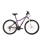 Картинка Велосипед Stinger Graphite LE 27AHV.LAGUSTD.17VT10 (рама 17, фиолетовый)
