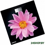 Картинка Весы напольные Centek CT-2416 (Pink Flower)