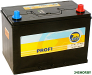 Profi 7905699 (95 А·ч)