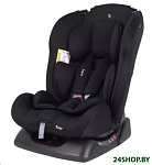 Картинка Детское автокресло Rant Basic Rally ZY19 (черный)