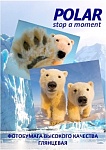 Картинка Фотобумага Polar глянцевая двухсторонняя A4, 130 г/м2, 50 л [A4D8802]