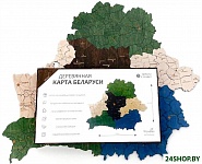 Карта Республики Беларусь 3211