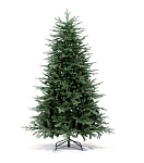 Картинка Ель Royal Christmas Auckland Premium 2,1 м