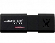 Картинка USB Flash Kingston DataTraveler 100 G3 256GB