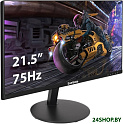 Монитор ExeGate SmartView EP2207 EX295588RUS