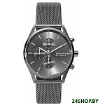 Картинка Наручные часы Skagen SKW6608