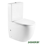 Картинка Унитаз WeltWasser Merzbach 001 GL-WT (белый глянец)