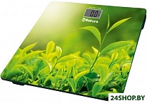 Картинка Напольные весы Sakura SA-5071GR (трава)