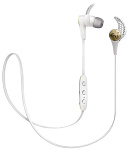 Картинка Наушники с микрофоном Jaybird X3 (белый/золотистый)