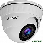 Картинка IP-камера Ginzzu HID-2032S