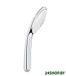 Картинка Душевая лейка Grohe Euphoria 110 Massage 27221001