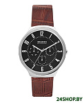 Картинка Наручные часы Skagen SKW6536